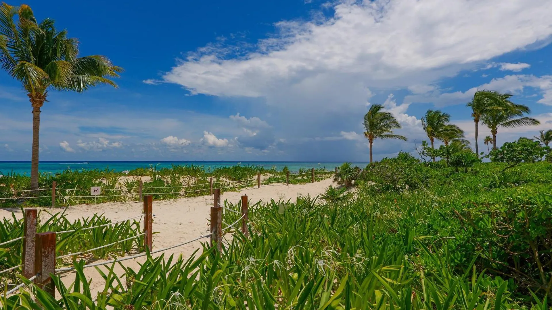 Apartment Seaside Serenity Retreat At Mareazul Norte - 2 Bedroom Playa del Carmen